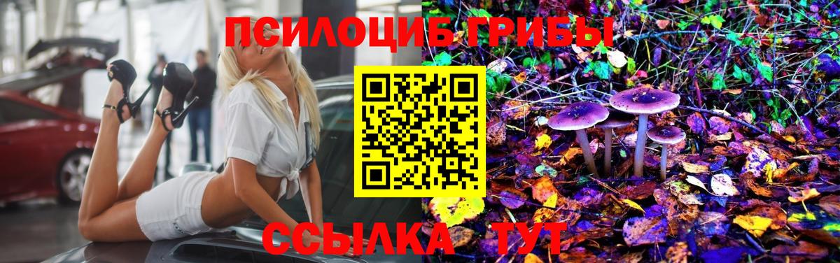 Псилоцибиновые грибы MAGIC MUSHROOMS Братск