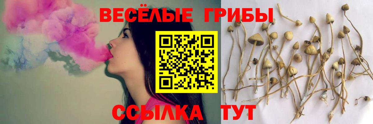 Братск  Псилоцибиновые грибы Magic Shrooms  Вход с VPN 